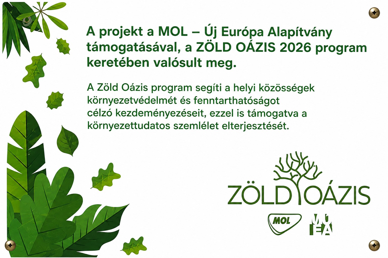 Zöld oázis pályázat