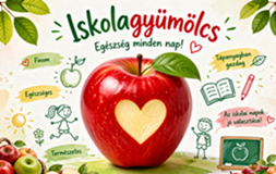 Iskolagyümölcs pályázat