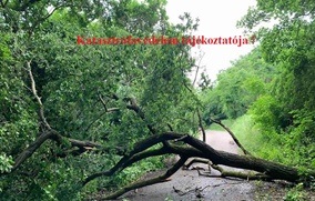 Fakidőlési tájékoztató!